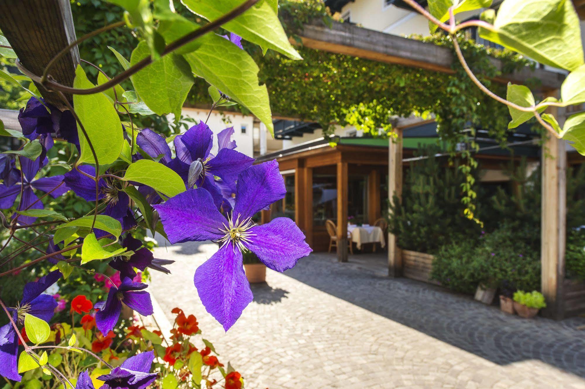 Hotel Drumlerhof Campo Tures Exterior photo